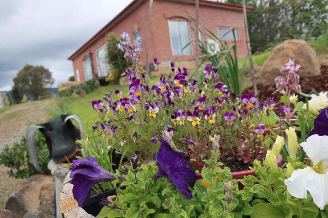 Cherry Top Farmstay - Boutique Eco Village Lilydale Εξωτερικό φωτογραφία