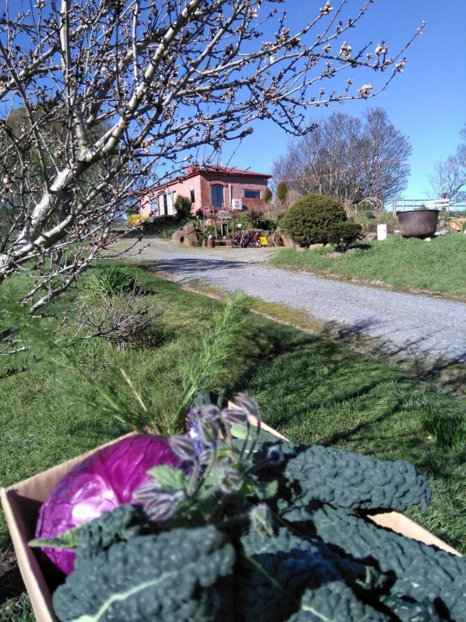 Cherry Top Farmstay - Boutique Eco Village Lilydale Εξωτερικό φωτογραφία