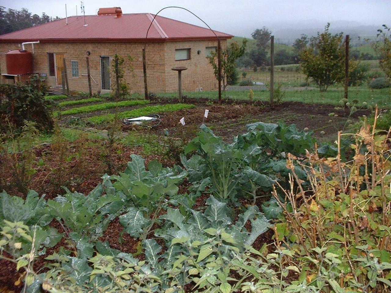Cherry Top Farmstay - Boutique Eco Village Lilydale Εξωτερικό φωτογραφία
