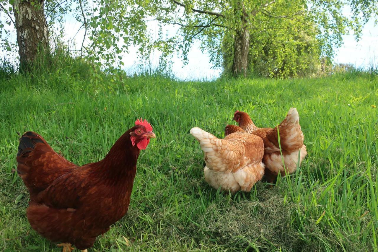 Cherry Top Farmstay - Boutique Eco Village Lilydale Εξωτερικό φωτογραφία
